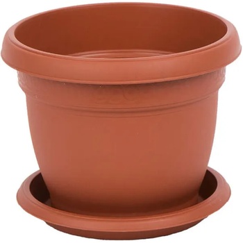 Image 1 of Roto Daliia F20