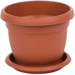 Roto Daliia F20