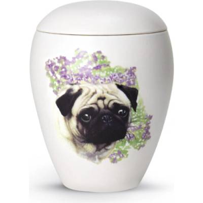 Zvieracia urna Bianco - Mops 0,5l