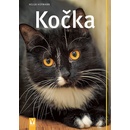 Kočka