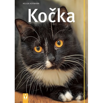 Kočka