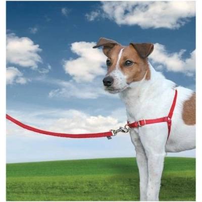 Easy Walk Harness Postroj proti ťahaniu S