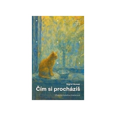 Čím si procházíš - Sigrid Nunez
