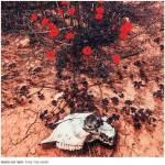 Mark My Way - Thin The Herd (LP) (8721018003334)