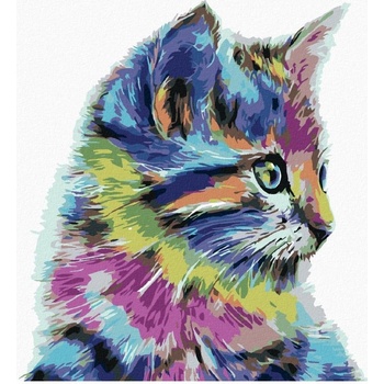 Zuty Maľovanie podľa čísel MAČIČKA S MOTÝLIKOM