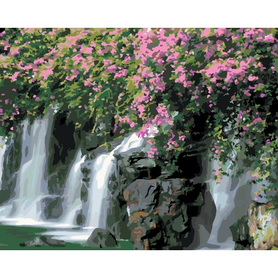 ZUTY Malování podle čísel KVĚTINY NAD SPLAVEM DENNIS FRATES Rozměr 40 x 50 cm Rámování vypnuté plátno na rám