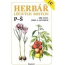 Herbář léčivých rostlin - 4 - Jiří Janča, Josef Zentrich