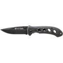 Smith & Wesson Oasis SW421