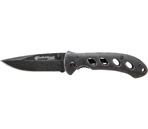 Smith & Wesson Oasis SW421