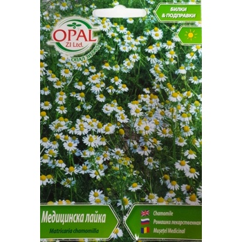 Opal Zi Медицинска лайка / Matricaria chamomilla