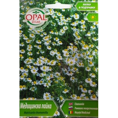 Opal Zi Медицинска лайка Matricaria chamomilla