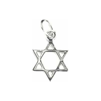 Čištín Zlatý přívěšek Davidova hvězda bílé zlato P 762