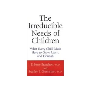 Irreducible Needs Of Children | Stanley I. Greenspan (ISBN: 9780738205168)