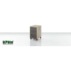 IRIM Модул 48