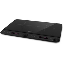 Salente InductPro2