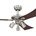 Westinghouse Audubon (72119)