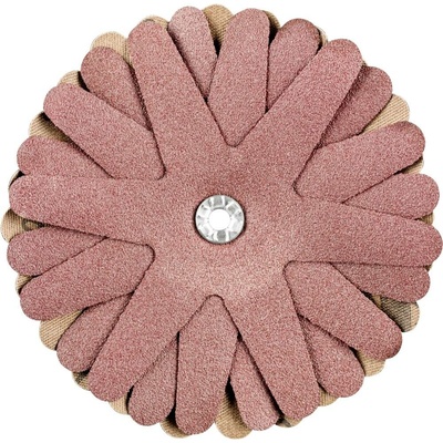 PFERD TOOLS 42732166 brúsne hviezdy Priemer 100 mm 10 ks