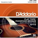 D'addario EFT13