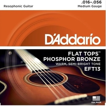 D'addario EFT13