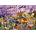 Bluebird Puzzle - Puzzle Two By Two at Noah's Ark - 1 000 piese