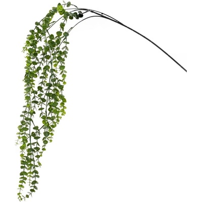 ZELEŇ ŤAHAČKA EUCALYPTUS 110CM