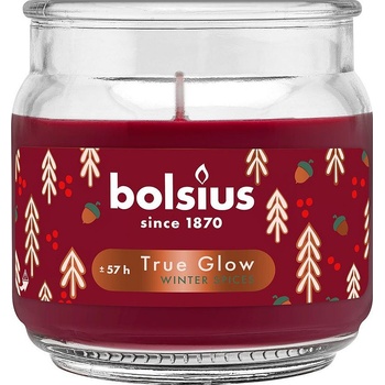 Bolsius Ароматна свещ Bolsius True Glow - Winter Spices, 57 h (8717847190505)