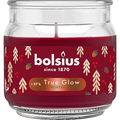 Bolsius Ароматна свещ Bolsius True Glow - Winter Spices, 57 h (8717847190505)