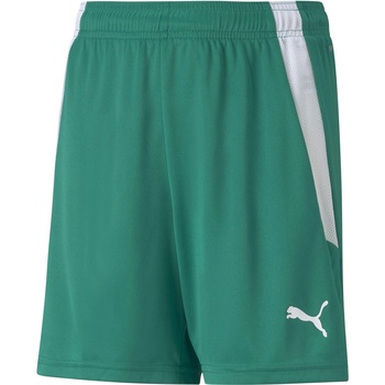 PUMA Teamliga shorts jr 152