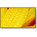 Image 1 of NEC MultiSync M431-2 60006083