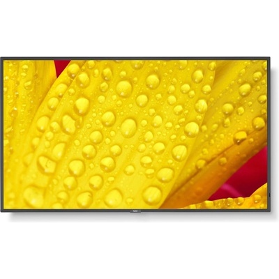 NEC MultiSync M431-2 60006083