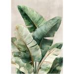 Styler Печатна върху платно картина 70x100 cm Foliage - Styler (CA-18752)