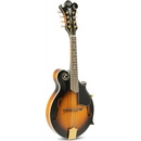 VGS F2