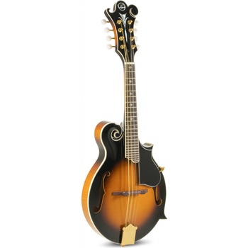 VGS F2