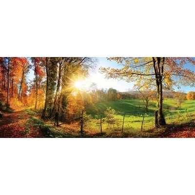IMPOL TRADE 12108 VEP Vliesové fototapety slnko a les rozmer 250 cm x 104 cm