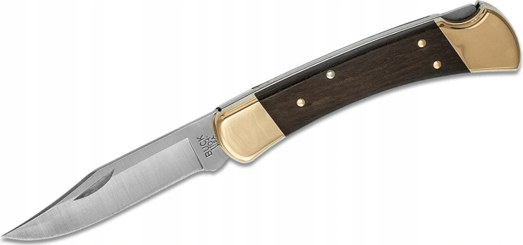 Buck 110 Hunter Lockback