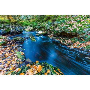 DIMEX ART Флизелинов фототапет есенни порои 375 x 250 см