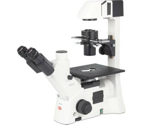 Motic AE31E bino