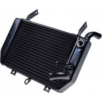 Chladič vody SUZUKI TL1000R 1998-2001