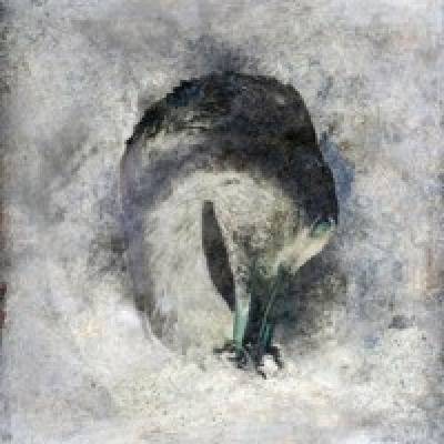 Suma - Ashes. CD