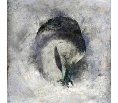 Suma - Ashes. CD