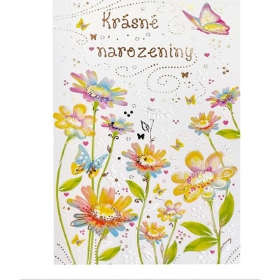 Přání k narozeninám CTS21