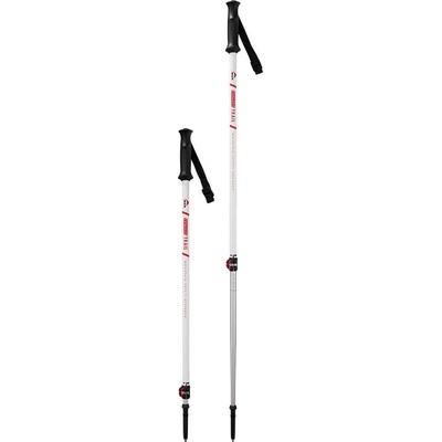 MSR DynaLock Trail 2
