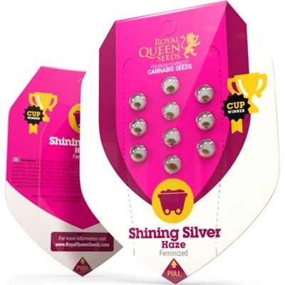 Royal Queen Seeds Shining Silver Haze semena neobsahují THC 10 ks