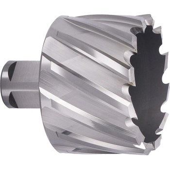 ABSE N-HS-W19-0510025