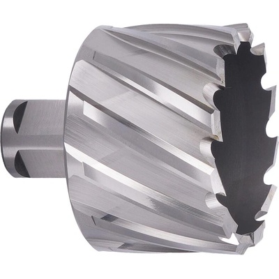 ABSE N-HS-W19-0510025