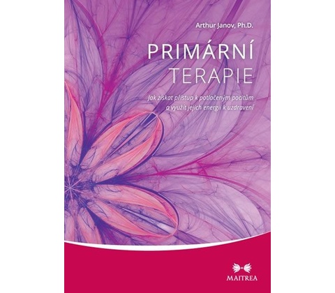 Primární terapie