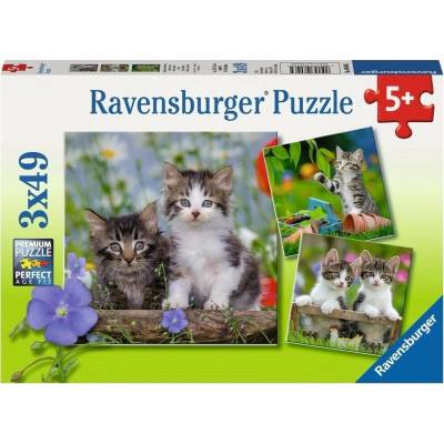 Ravensburger Пъзел Ravensburger - Tabby cats, 3x49 части (353857) (353857)