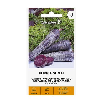Seklos Моркови Лилаво слънце F1 Daucus carota Purple sun H