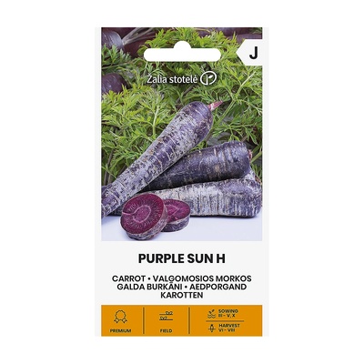 Seklos Моркови Лилаво слънце F1 Daucus carota Purple sun H