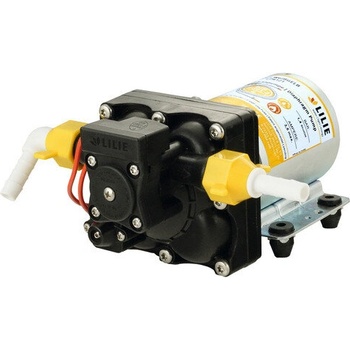 Image 1 of LILIE 62990